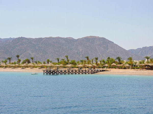 TIME Coral Nuweiba Resort image 14